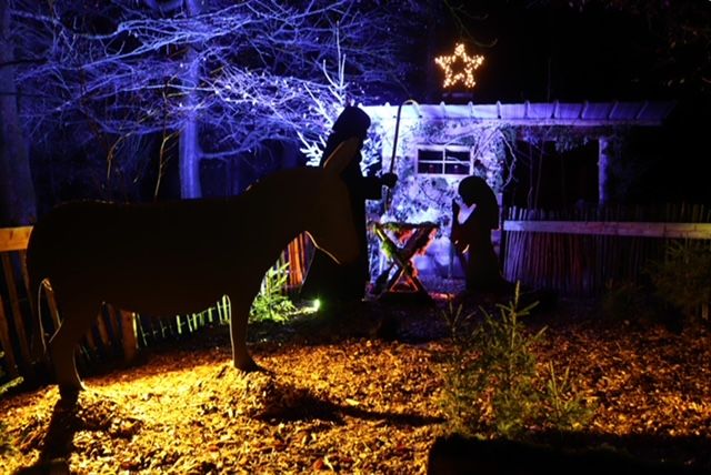 Abendliches Bild der Weihnachtsgeschichte vor beleuchtetem Stall