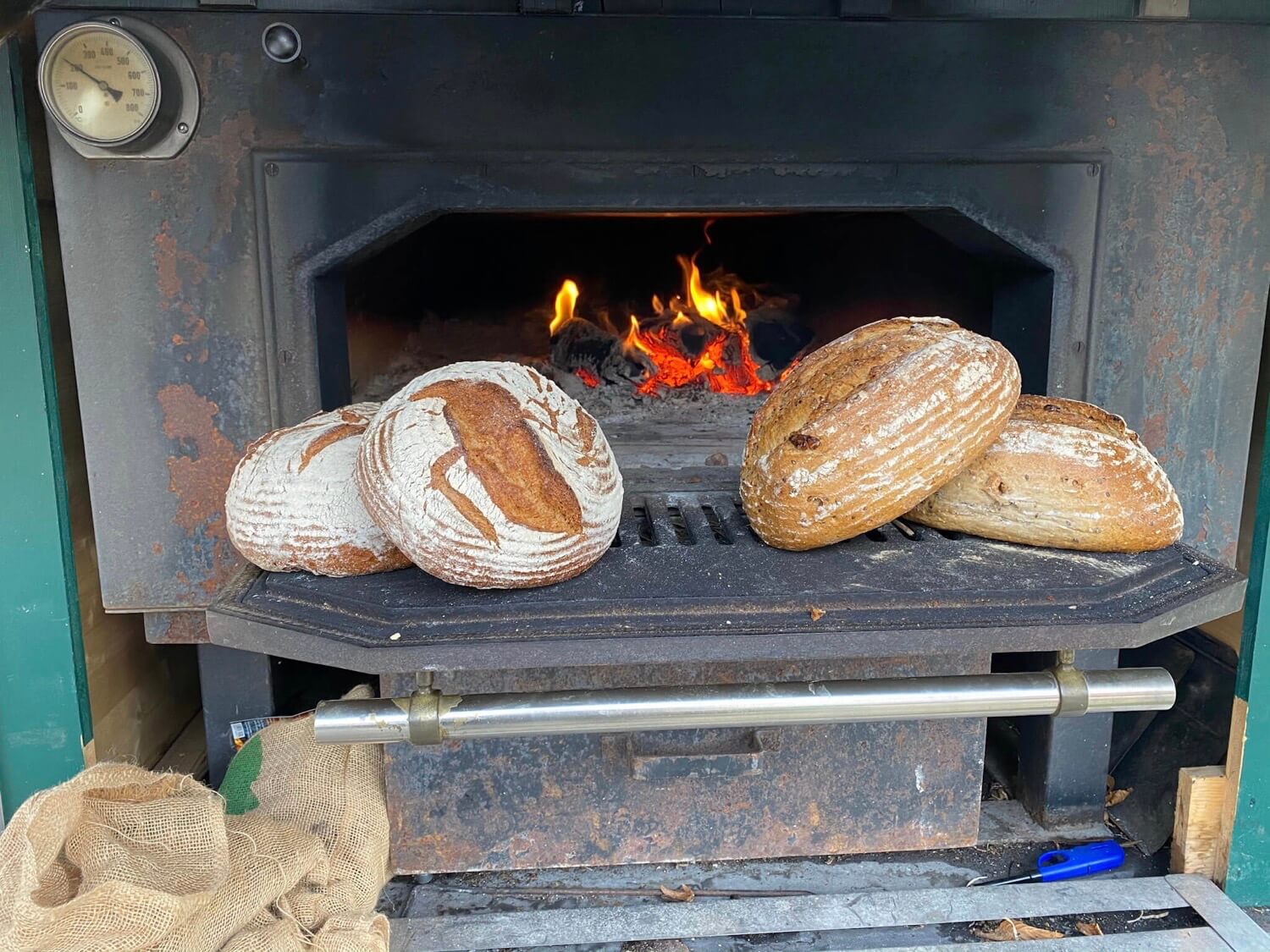 Vor einem alten Backofen liegen vier Brote schön angerichtet