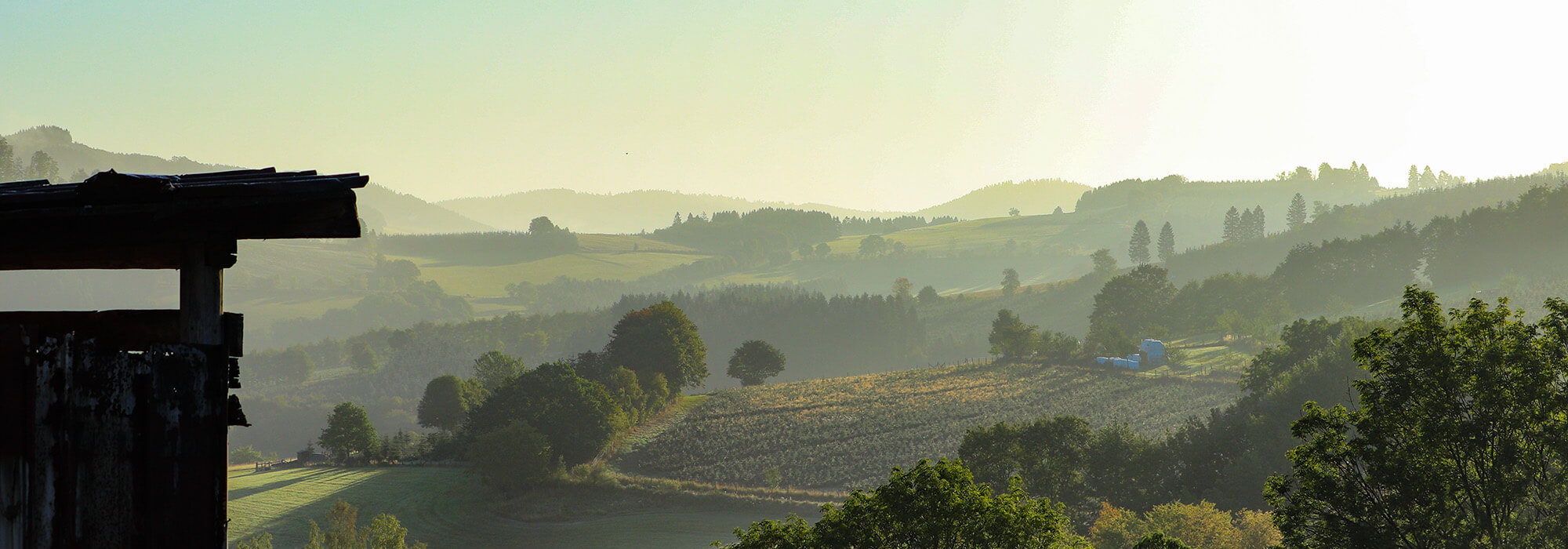Berge im Sauerland im Herbst