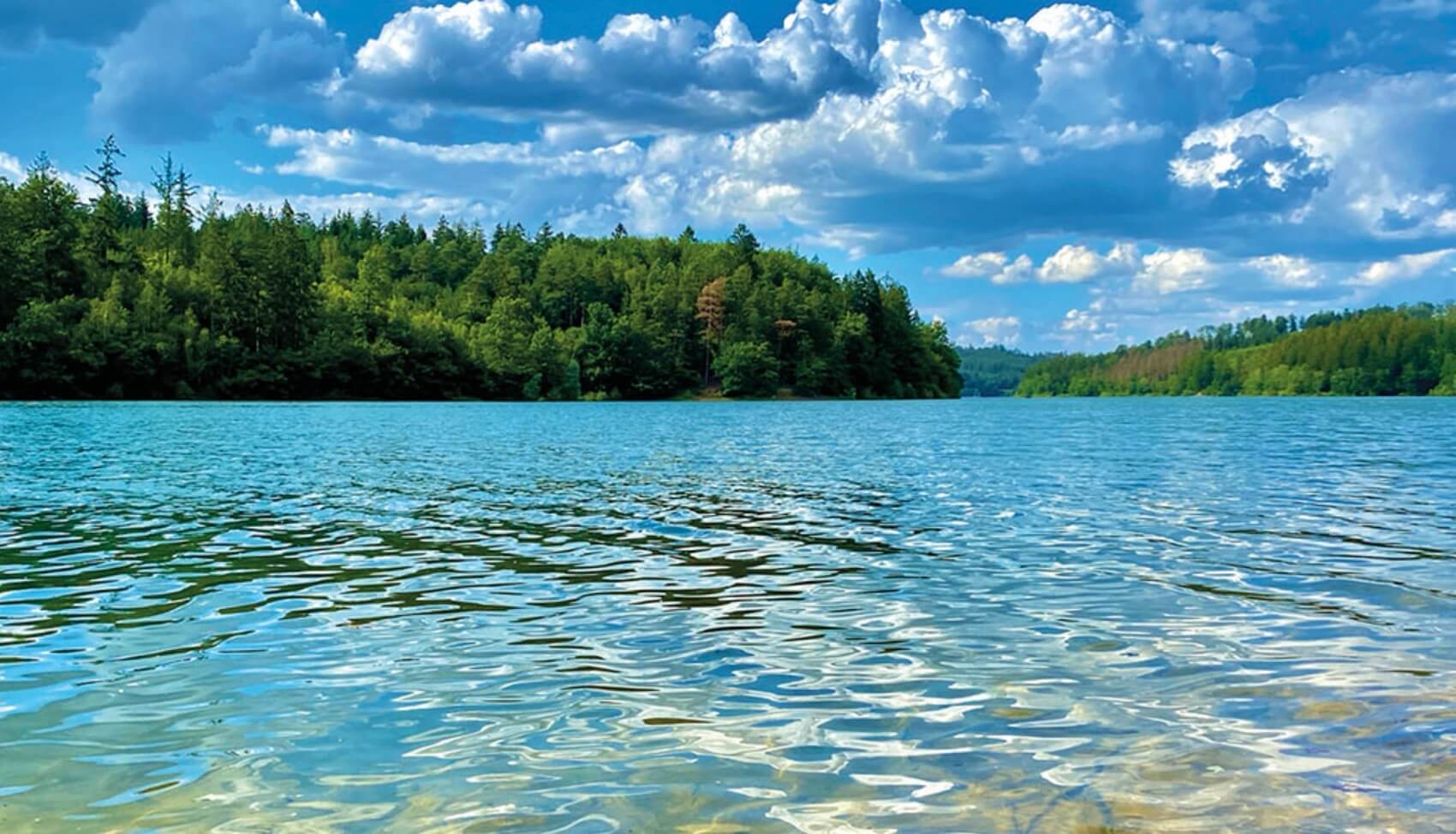 Blick auf einen See mit Wald auf der anderen Seeseite und wolkigem Himmel