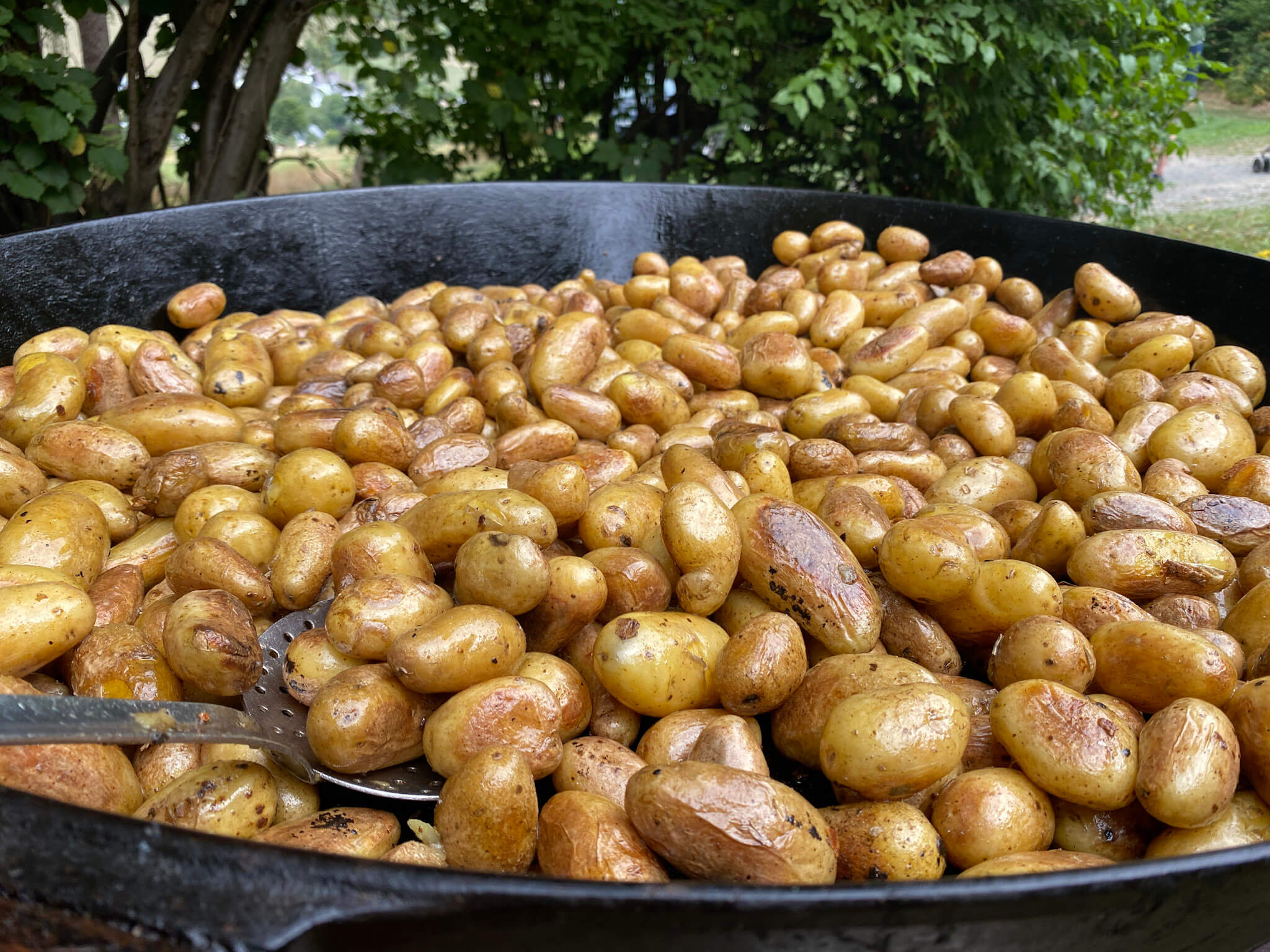 Viele Kartoffeln beim Kartoffelbraten in einer großen Pfanne