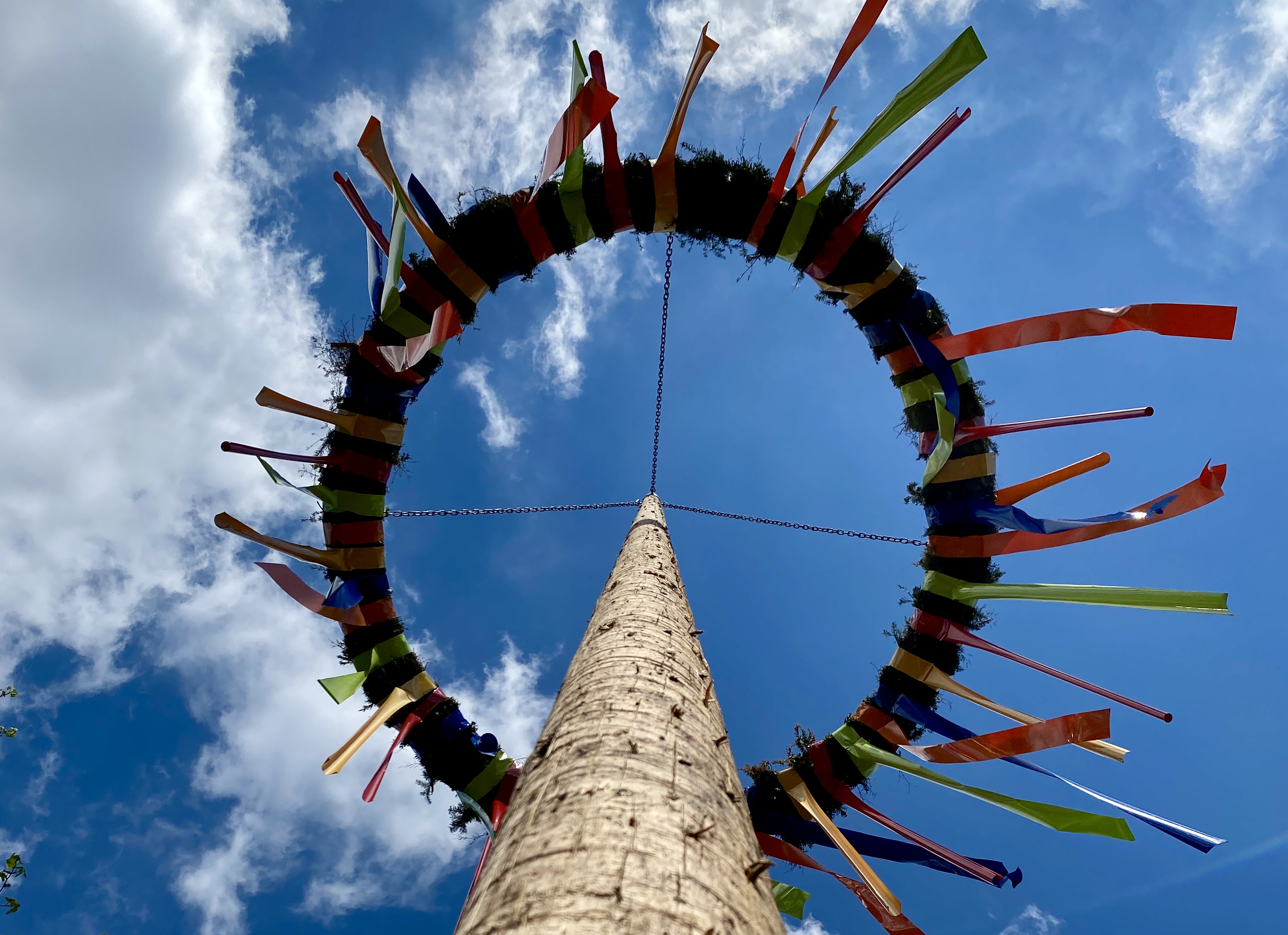 Maibaum 