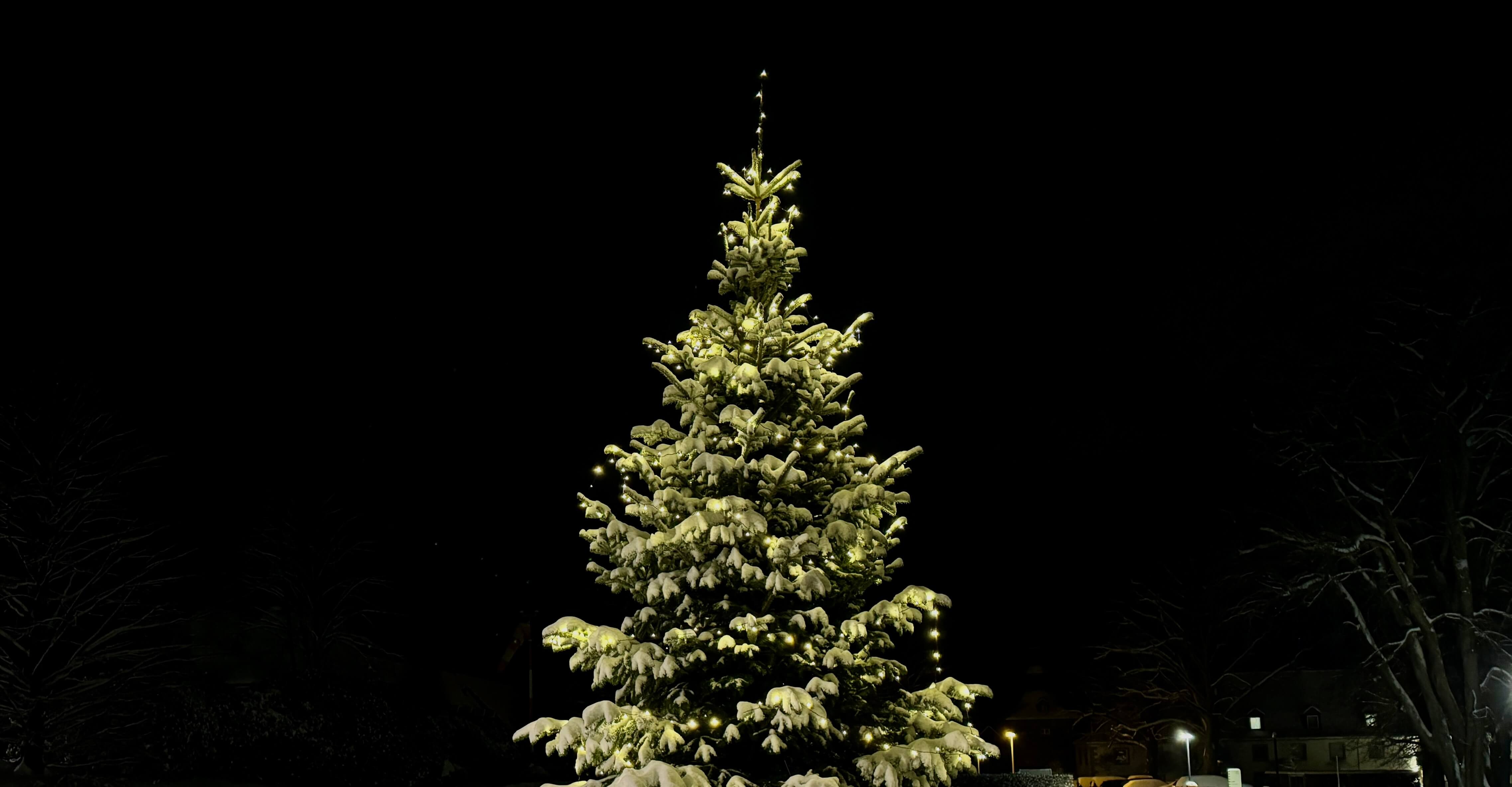 Ein hell erleuchteter Weihnachtsbaum in dunkler Atmosphäre