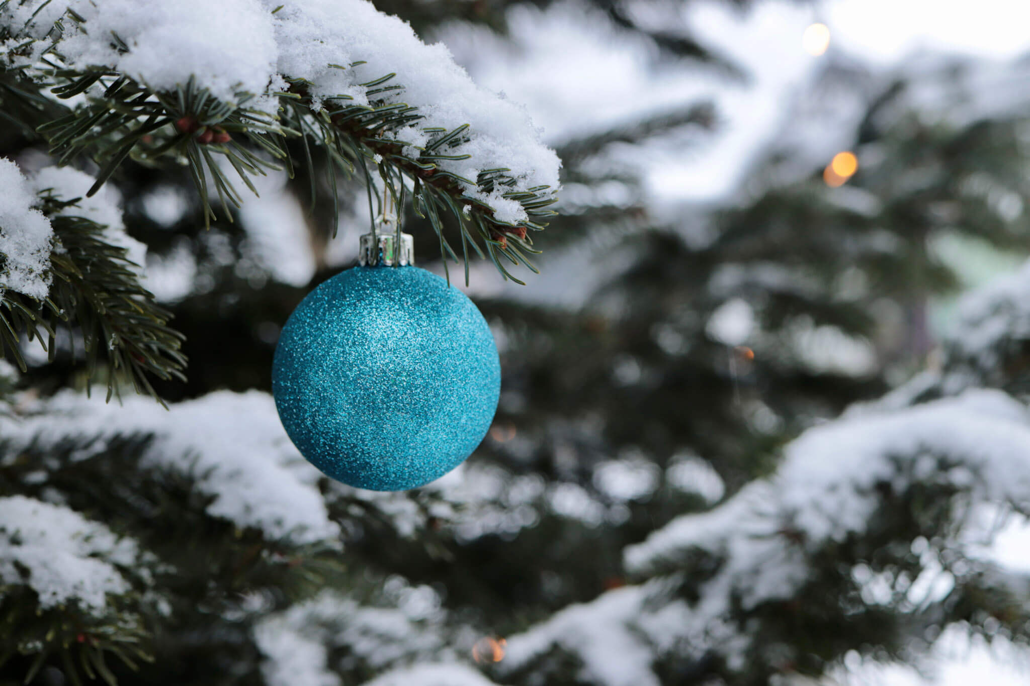 Eine türkise Weihnachtsbaumkugel hängt an einem verschneiten Tannenbaum